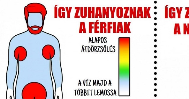 15 infografika a férfiak és a nők közötti különbségekről 15 infografika a férfiak és a nők közötti különbségekről