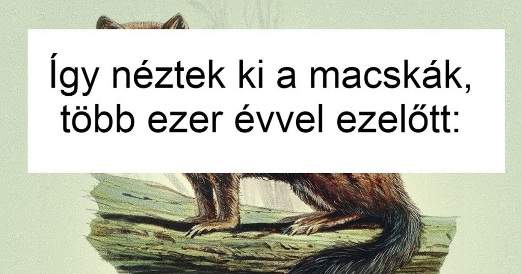 15 összehasonlítás a ma ismert állatok és elődjeik közt, amitől a padlón fogod keresni az állad