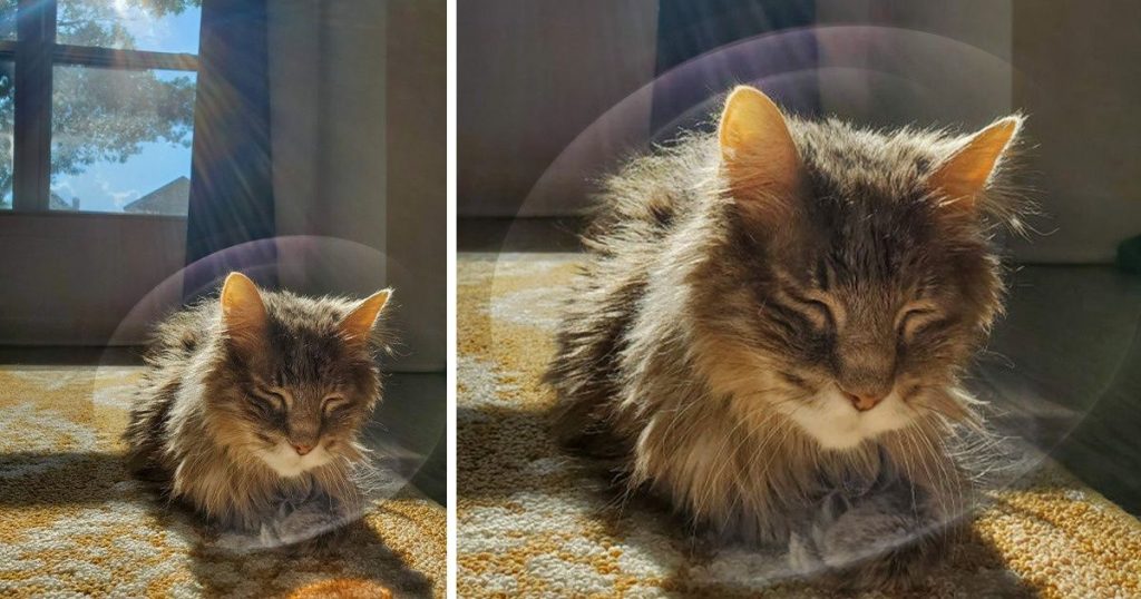 15 varázslatos fotó, ami a lehető legjobb pillanatban készült
