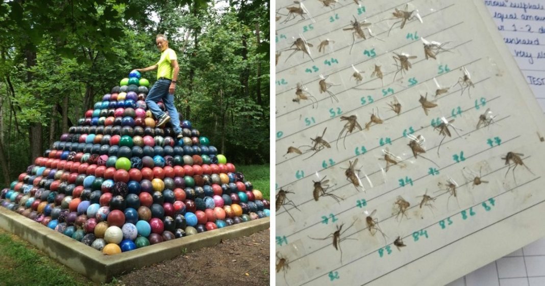 18 ember, aki olyan dolgokat kezdett el gyűjteni, ami másoknak eszébe sem jutott volna 18 ember, aki olyan dolgokat kezdett el gyűjteni, ami másoknak eszébe sem jutott volna