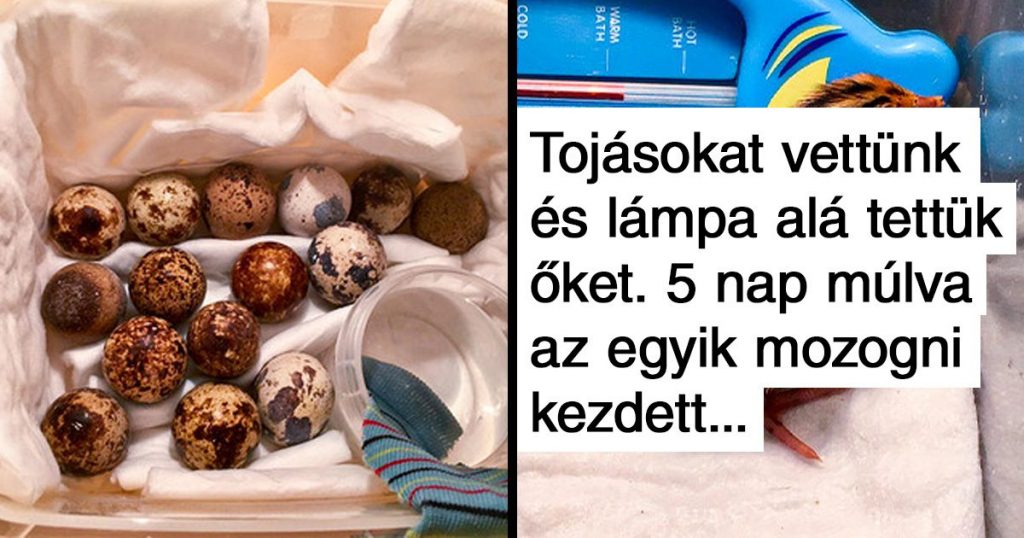 17 fotó, ami bizonyítja, hogy az élet bárhol képes utat törni magának