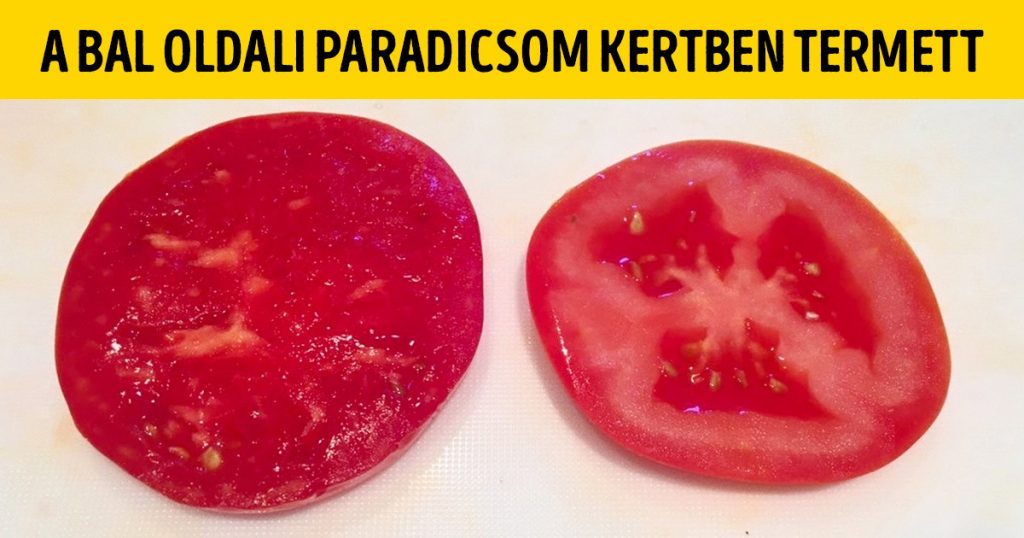 20 dolog, amit csak nagyon kevés ember láthatott személyesen