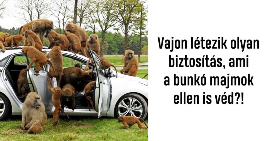 17 abszurd autóbaleset, ami némi fejtörést fog okozni a betétlap kitöltésénél