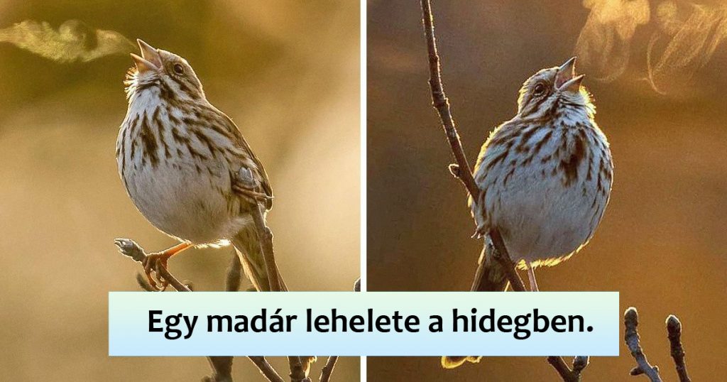15 ESET, AMIKOR RÁJÖSSZ, NEM LÁTTÁL MÉG MINDENT, AMIT A TERMÉSZET SZÁMODRA TARTOGATHAT