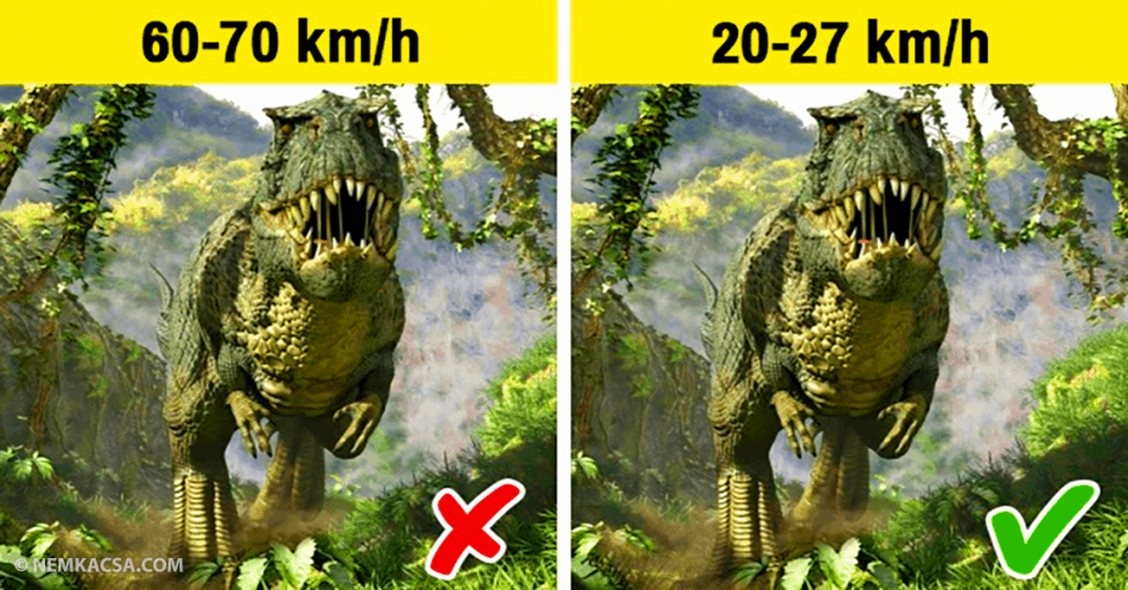 18 meglepő érdekesség a világról, amit nem tanítottak meg nekünk a tankönyvek
