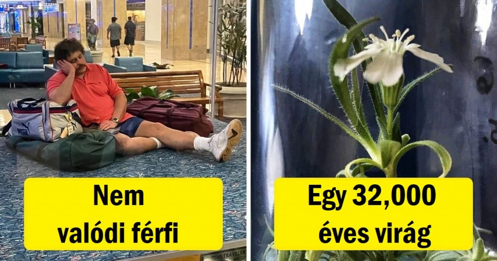 11 dolog, amiről nem gondoltuk, hogy létezik, és most nem tudjuk elfelejteni