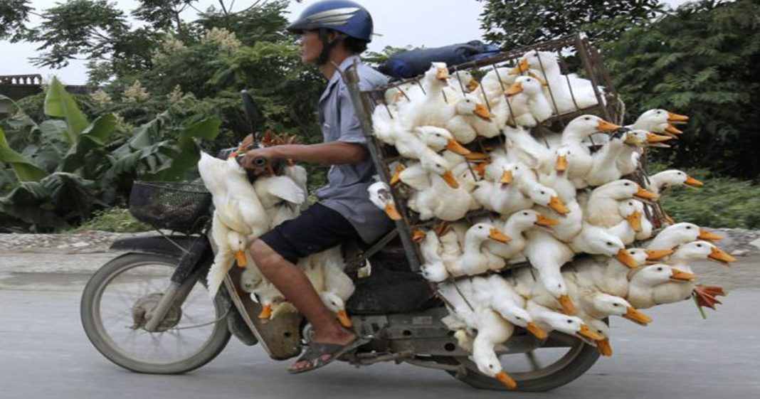 16 ember, akinek nem volt pénze postaköltségre 16 ember, akinek nem volt pénze postaköltségre