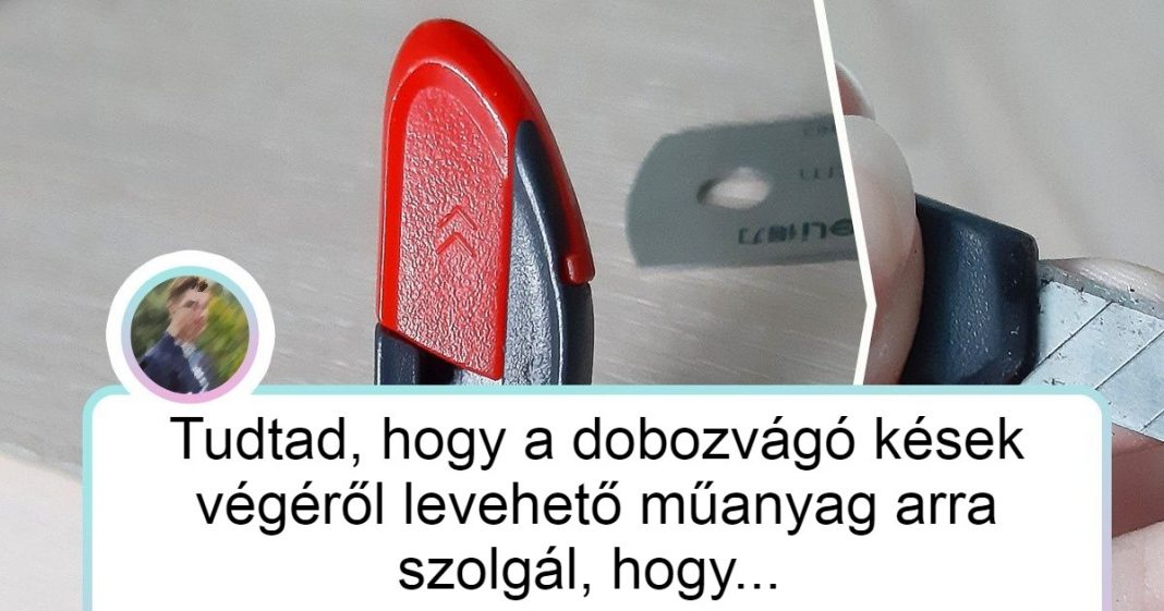 11 ember, aki egy kicsivel többet tud a világról, mint bárki más 11 ember, aki egy kicsivel többet tud a világról, mint bárki más