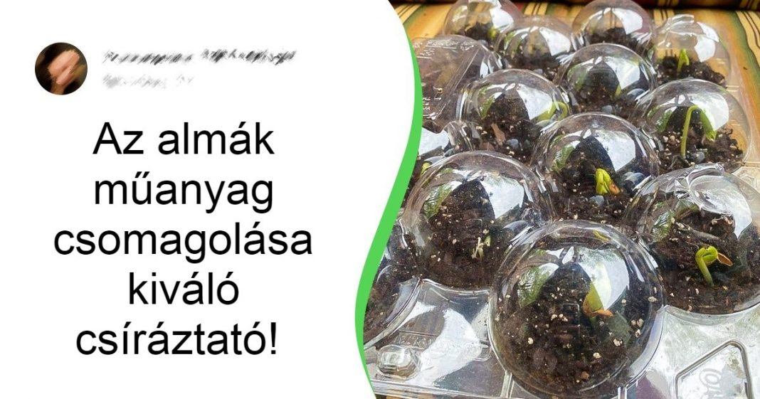 15+ ügyes kertész tipp és trükk, ami segítségével időt és pénzt is spórolhatsz 15+ ügyes kertész tipp és trükk, ami segítségével időt és pénzt is spórolhatsz