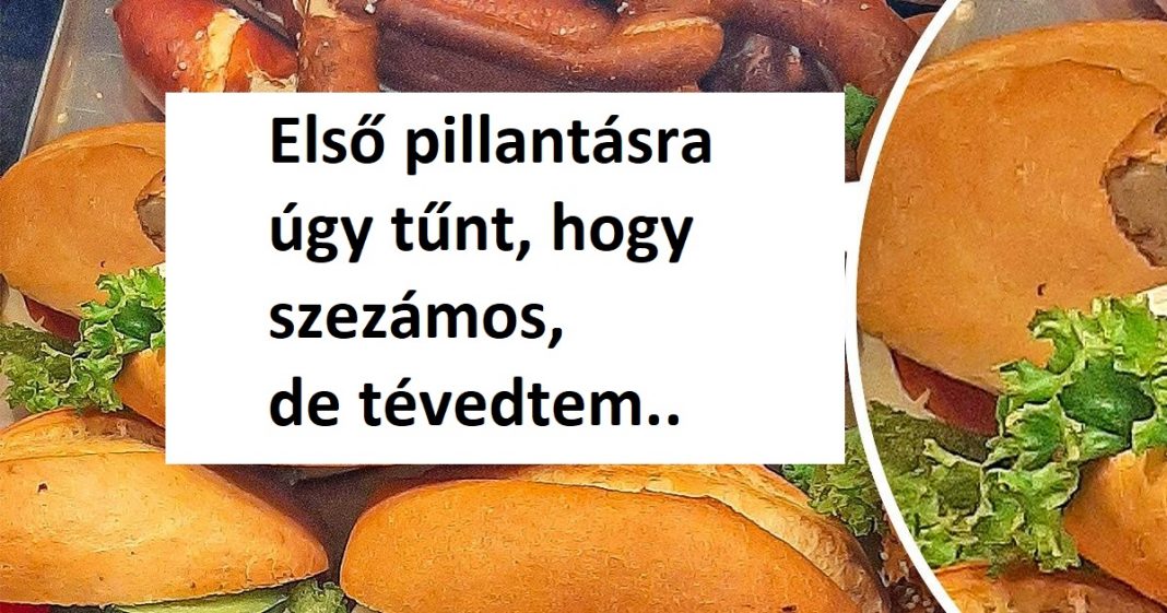17 ember, kinek élete egy hamisíthatatlan tragikomédia 17 ember, kinek élete egy hamisíthatatlan tragikomédia