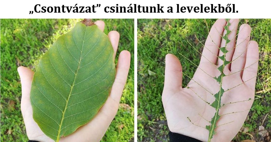 18 dolog, amit gyerekkorodban csináltál, de még mindig képes vagy megtenni 18 dolog, amit gyerekkorodban csináltál, de még mindig képes vagy megtenni