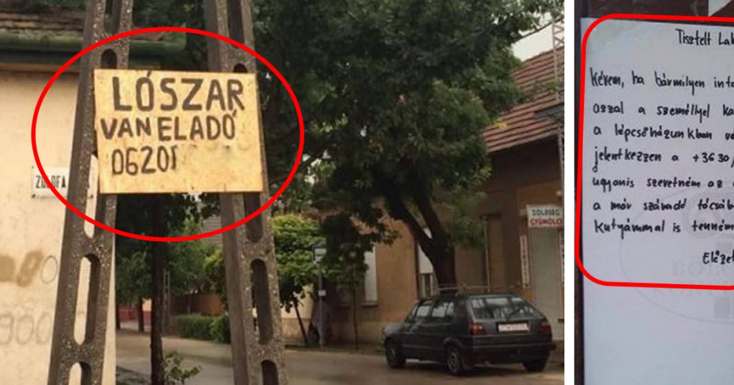 15 utcai felirat amitől sírva fogsz nevetni 15 utcai felirat amitől sírva fogsz nevetni