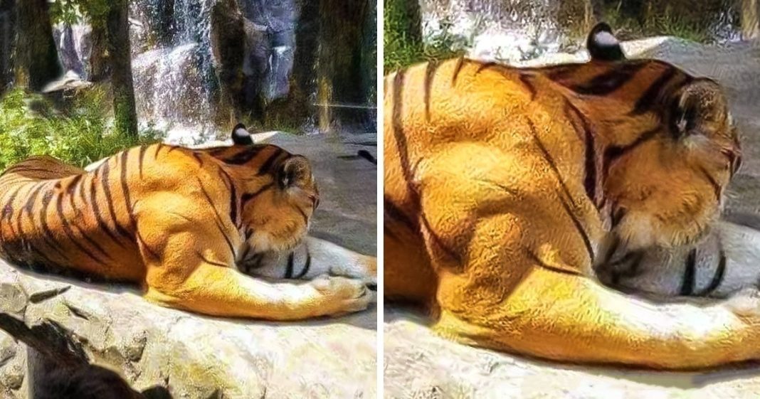 15 meglepő felfedezés, amit te is látni szeretnél közelebbről 15 meglepő felfedezés, amit te is látni szeretnél közelebbről