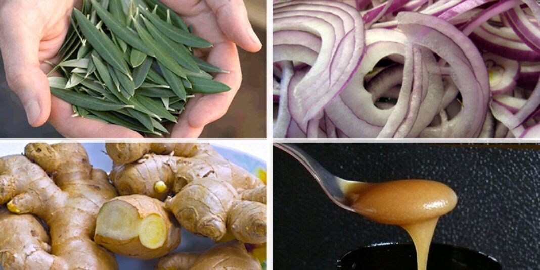 A 10 legerősebb természetes antibiotikum, amit rendszeresen fogyasztani kellene! A 10 legerősebb természetes antibiotikum, amit rendszeresen fogyasztani kellene!