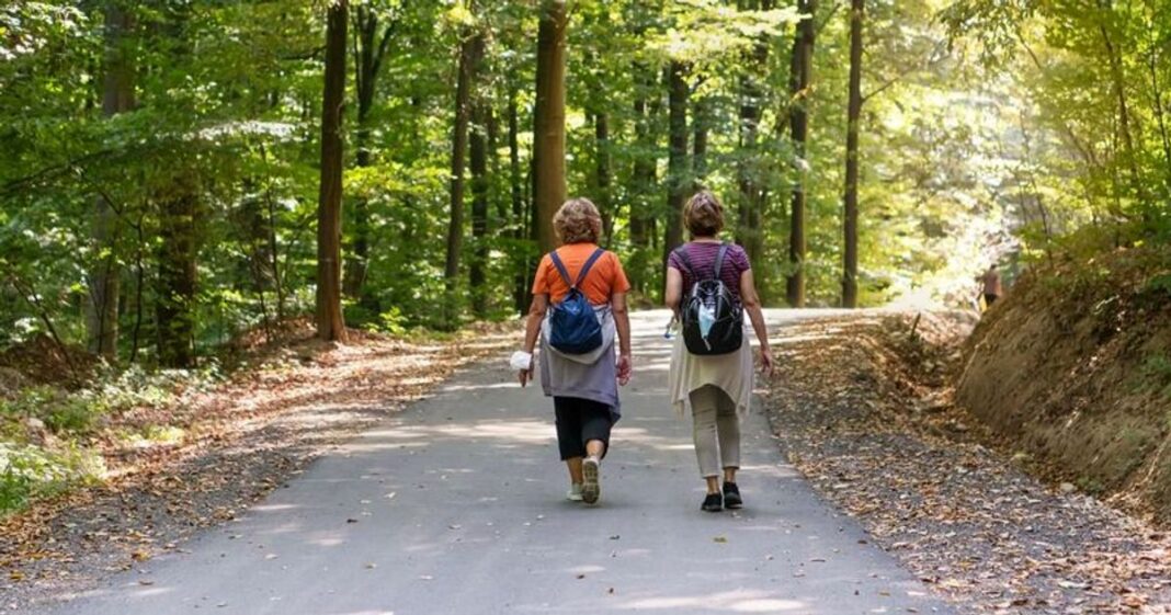 Két 81 éves nő életében egyszeri kalandra indul, miközben „80 nap alatt körbejárja a világot” Két 81 éves nő életében egyszeri kalandra indul, miközben „80 nap alatt körbejárja a világot”