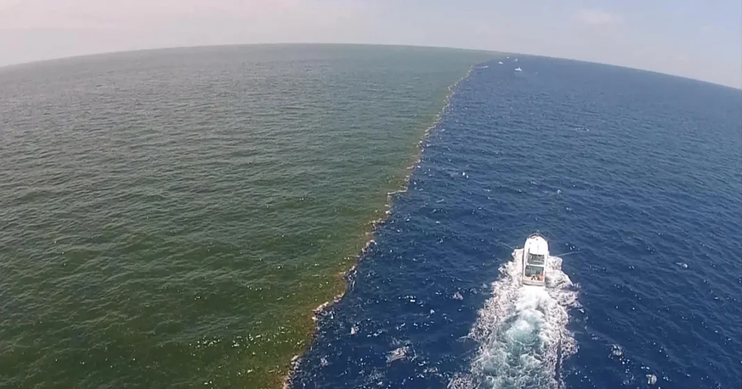 Miért nem keveredik a Csendes-óceán és az Atlanti-óceán? Miért nem keveredik a Csendes-óceán és az Atlanti-óceán?