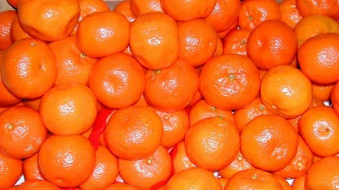 Ha ezt elolvasod, naponta többször is mandarint fogsz enni! Ha ezt elolvasod, naponta többször is mandarint fogsz enni!