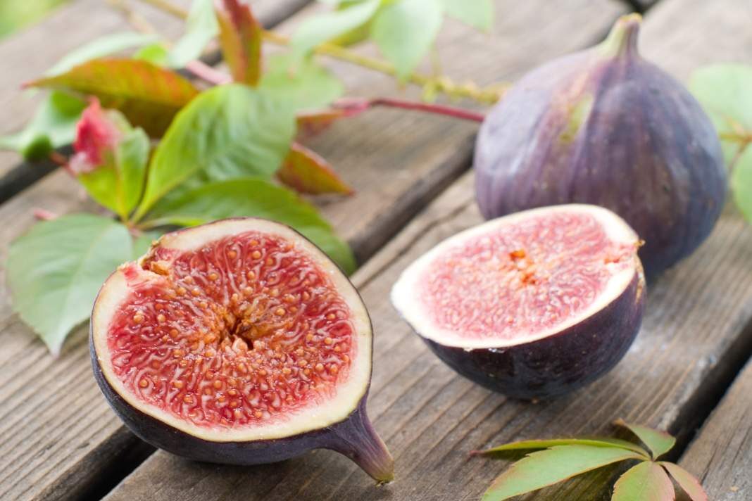 Füge: a gyümölcs, ami feltölti a tested és a lelked Füge: a gyümölcs, ami feltölti a tested és a lelked